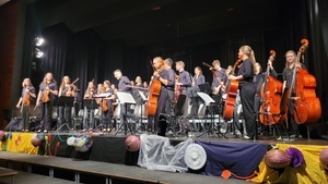Orchesterbild