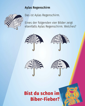 Aylas Regenschirm: